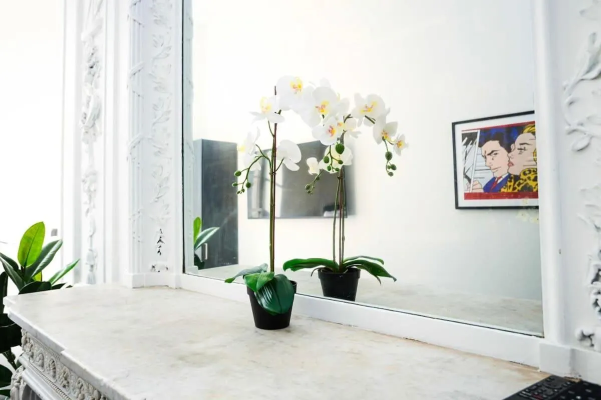Image 4 of Stylish Studio in Historic Boston – Unit #209