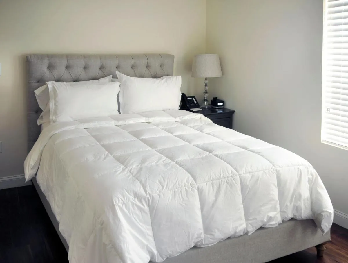 Image 5 of Bricco Suites